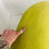 Thumbnail: #6539 Mitchell Gold + Bob Williams "Edie" Chaise Lounge
