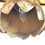 Thumbnail: #1569 Pair of Brass Large Lotus Pendants