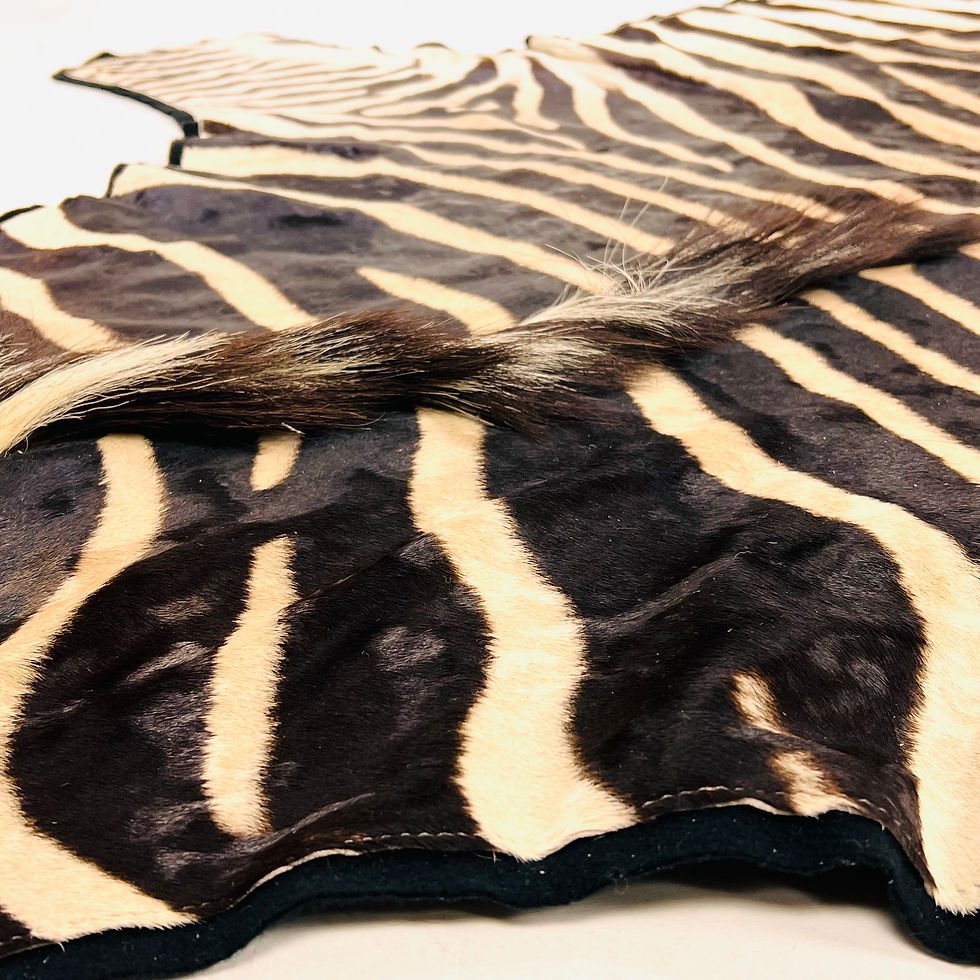 Thumbnail: #1915 Full Life Size Natural Zebra Hide Rug