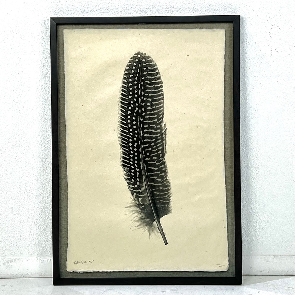 Thumbnail: #1826 Pair of Large Black & White Feather Prints