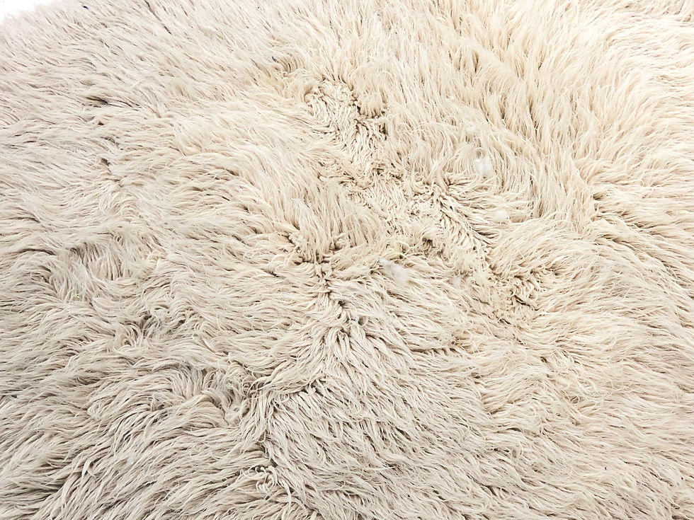 Thumbnail: Fur Rug