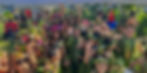 64530133-A4B2-49F9-87E4-700F5112CDEE_1_105_c_edited.jpg