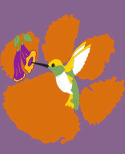 Clemson Hummingbird - Purple