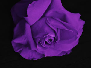 30 Poems In 30 Days: Queen of South Texas (Day 14)