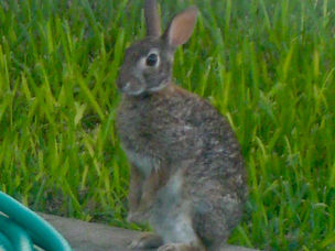 30 Poems In 30 Days: Springtime (Day 20)