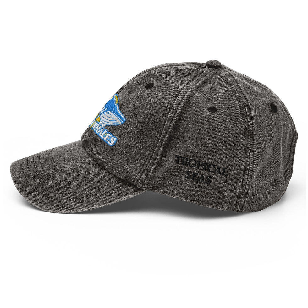 Miniatura: Vintage Save the Whales Hat