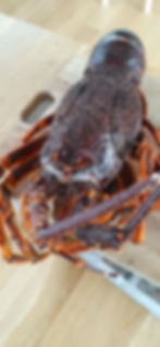 2020 02 20 Crayfish