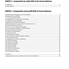 Un aperçu d'un rapport DISC & Forces Motrices