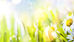 Let’s prepare for spring together
