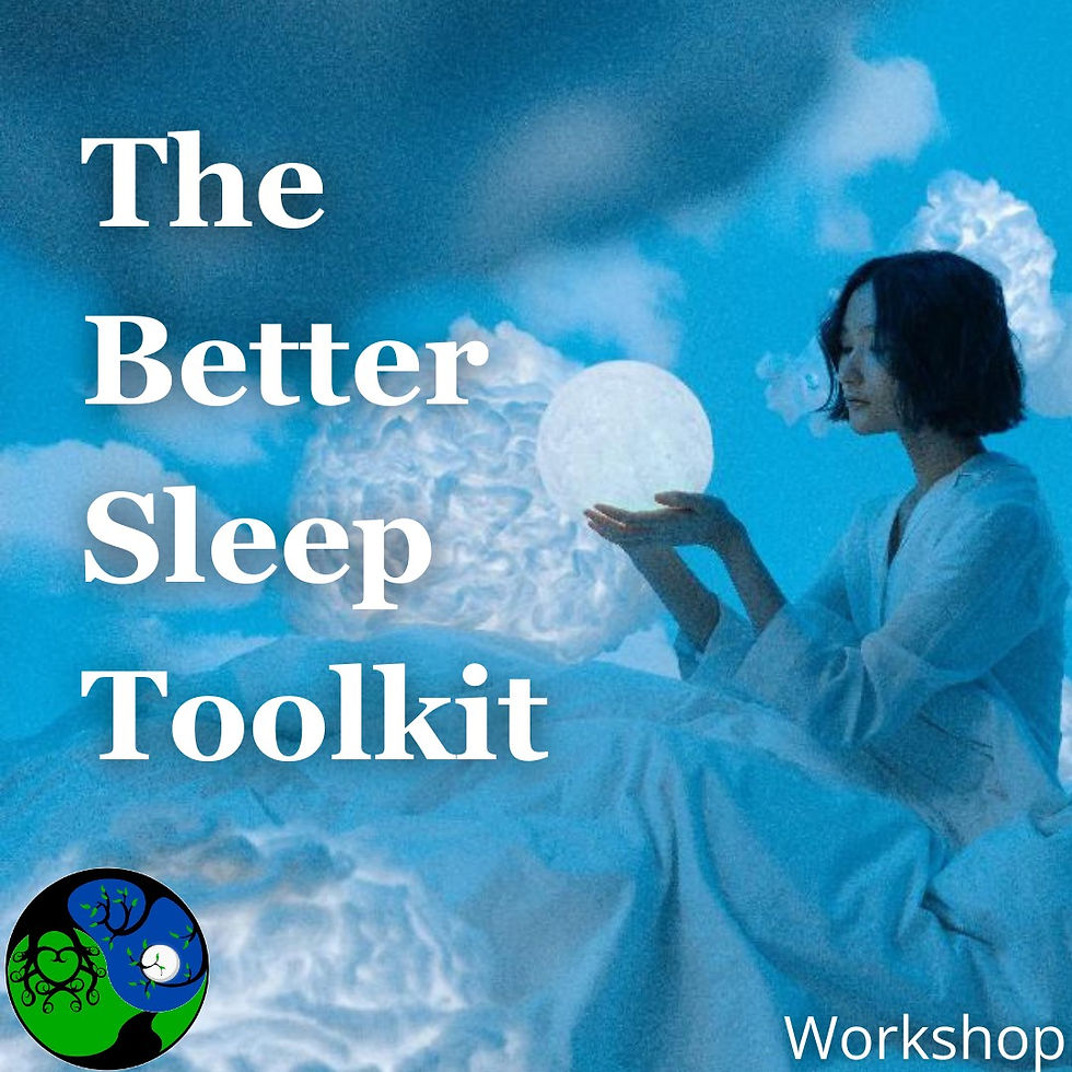 The Better Sleep Toolkit Workshop Recording & Notes