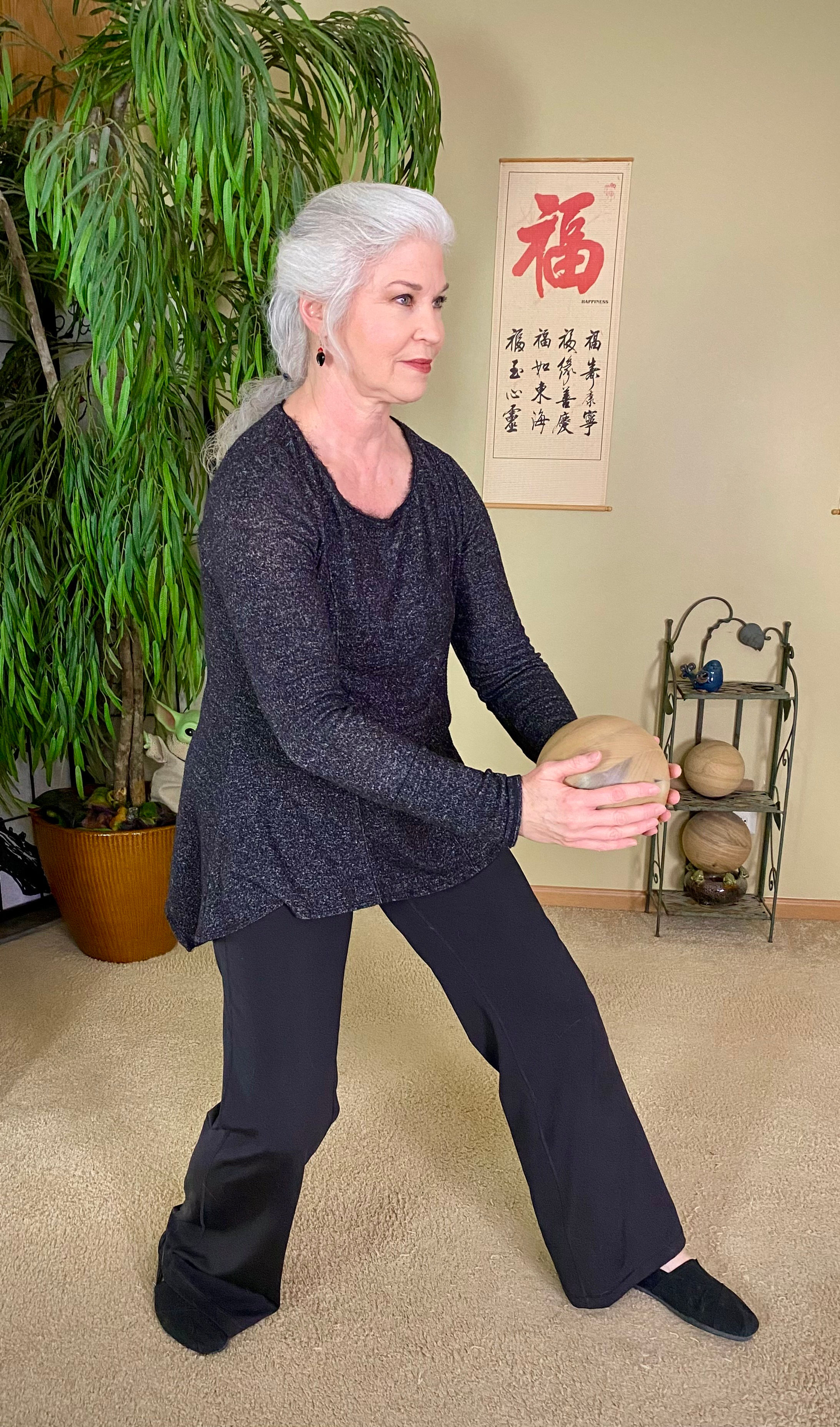 Tai Chi Ball Qigong Training & Certification