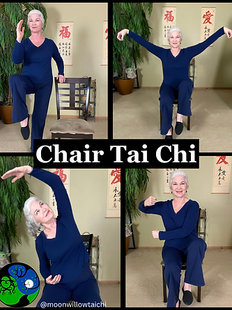 Chair Tai Chi Montage.PNG