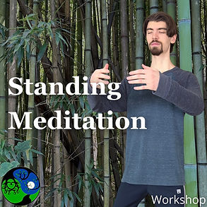 Qigong Five Animal Frolics - 5.png