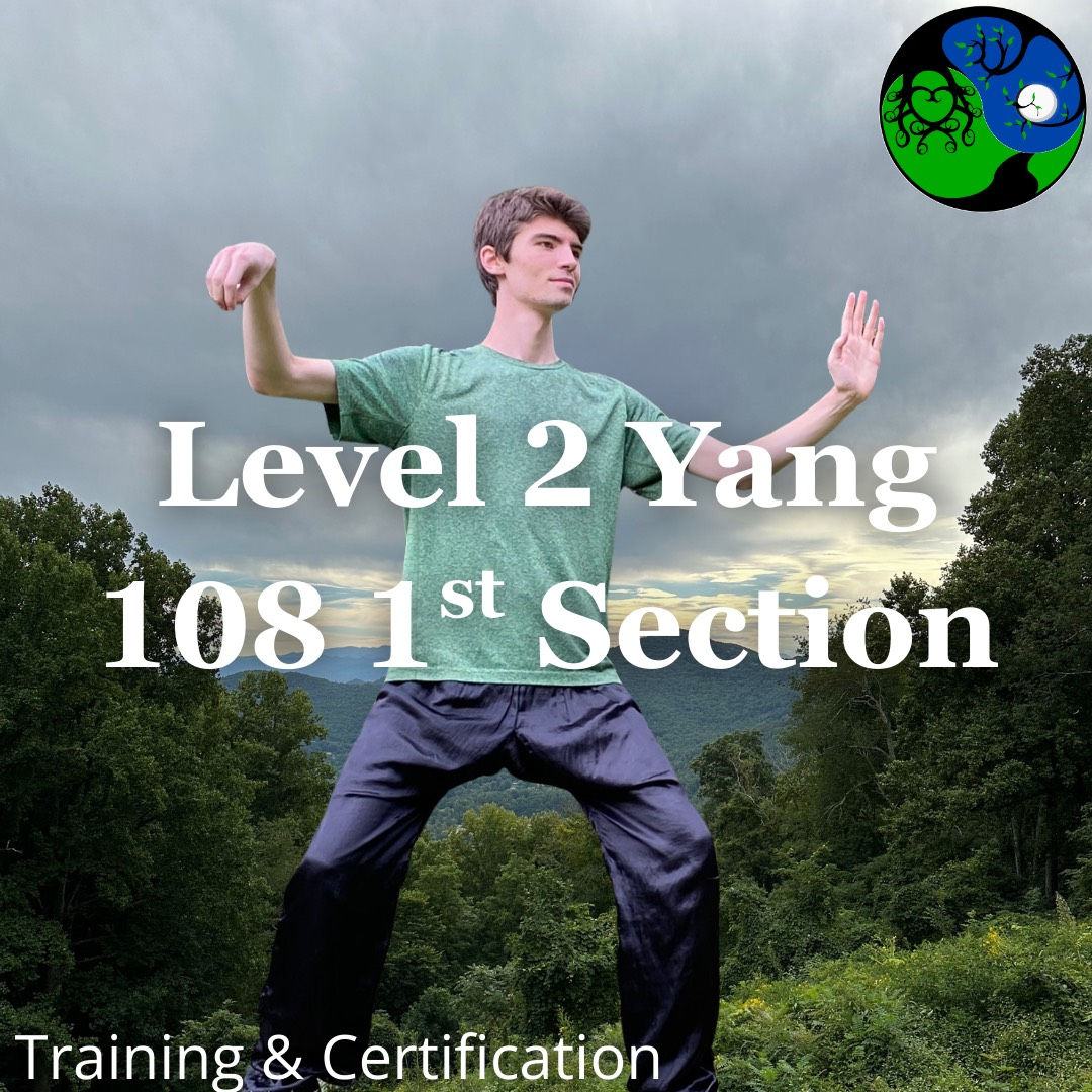 Level 2 Yang 108 1st Section Long Form Training (Zoom)