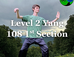 Level 2 Yang 108 1st Section Long Form Training (Zoom)