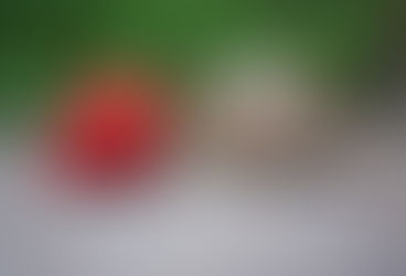 Милые животные.