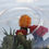 Thumbnail: Altaba Bubble