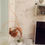 Thumbnail: Antique Rose