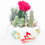 Thumbnail: Oriental Garden