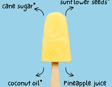 pina colada with ingredients.png