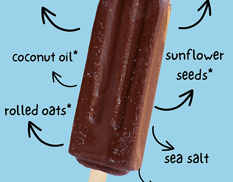 chocolate with ingredients.png