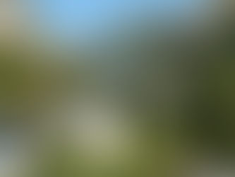 Bivouac et réglementation