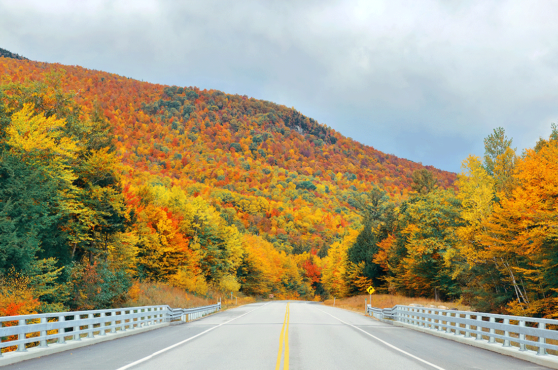 Join Canossa's Fall Rallye New England This October