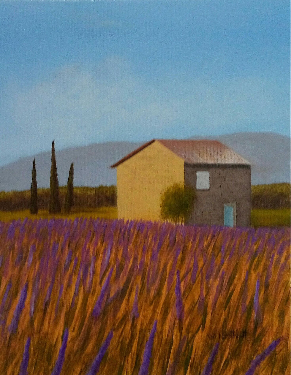 Lavender Field
