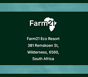 logo webpage.png