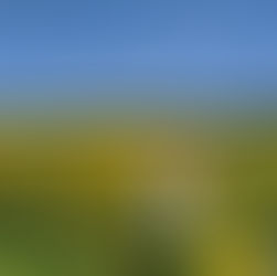 Words Matter: Why Cancer Isn’t a Game of Winners or Losers