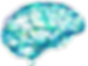brain-removebg.png