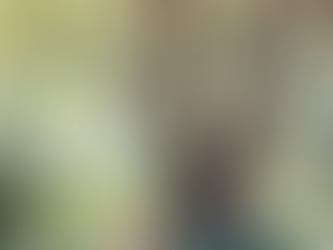 Forest Bathing