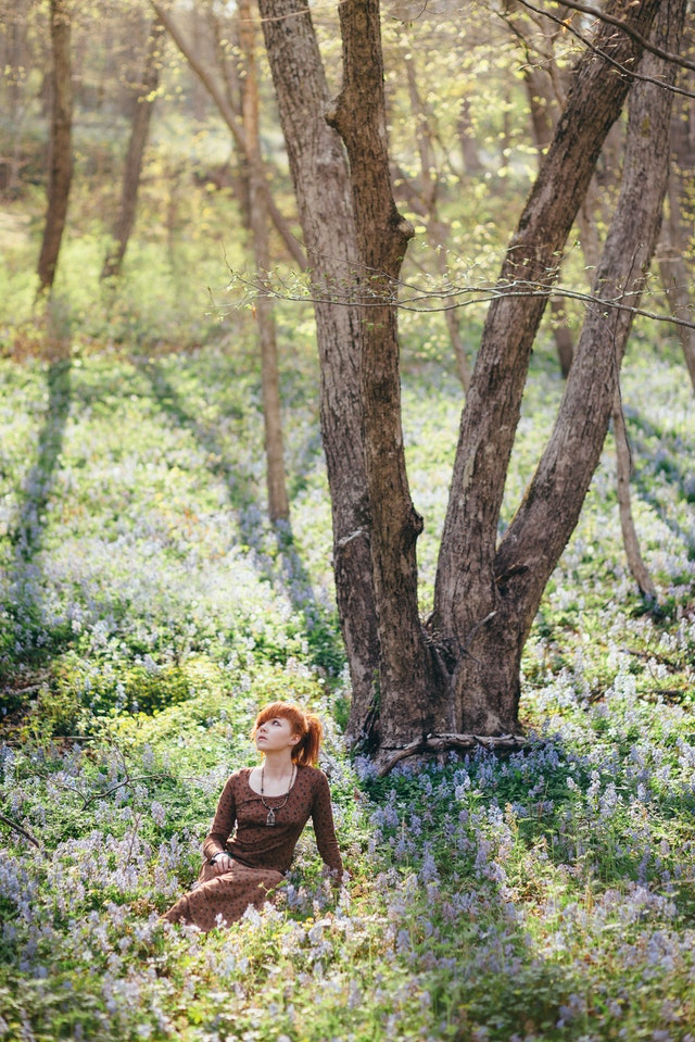 Forest Bathing