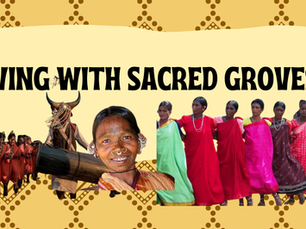 Living with Sacred Groves