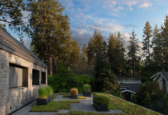 Szabo-Drake House-Cheryl-McIntosh-Photographer-15.jpg