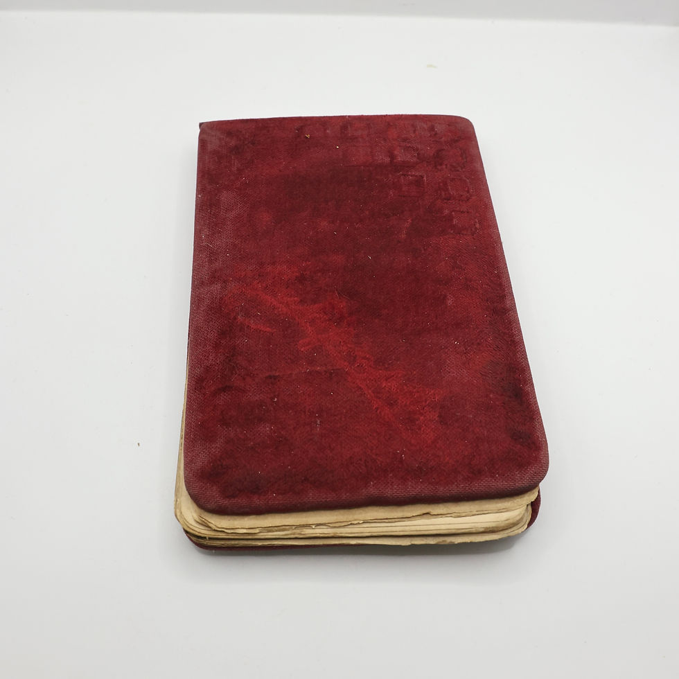 Thumbnail: Antique Keepsake Journal Circa 1886