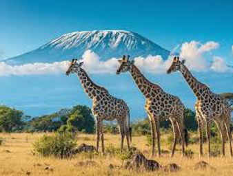 Kenya Giraffe with Mountain.jpeg