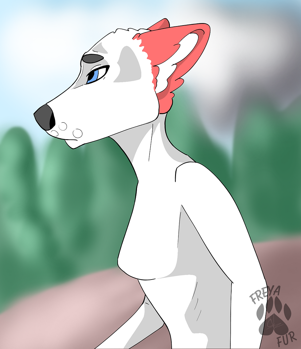 freyaanim