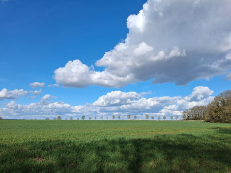 La marche nordique : un allié précieux pour bien vieillir.