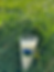Milchglas im Gras.png