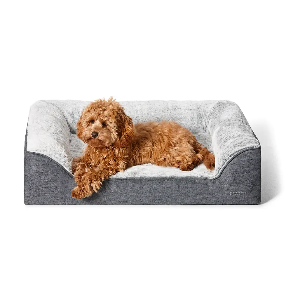 Snooza – Ortho Dream Sofa – Chinchilla