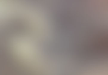 Sedimentary Deposits