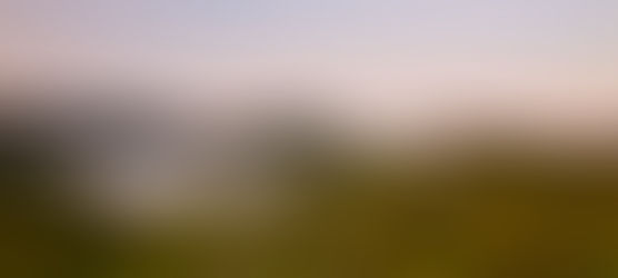 Santa Cruz Mountains Dawn
