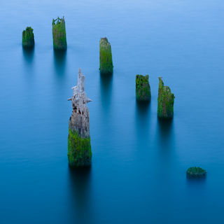 Piling Calm
