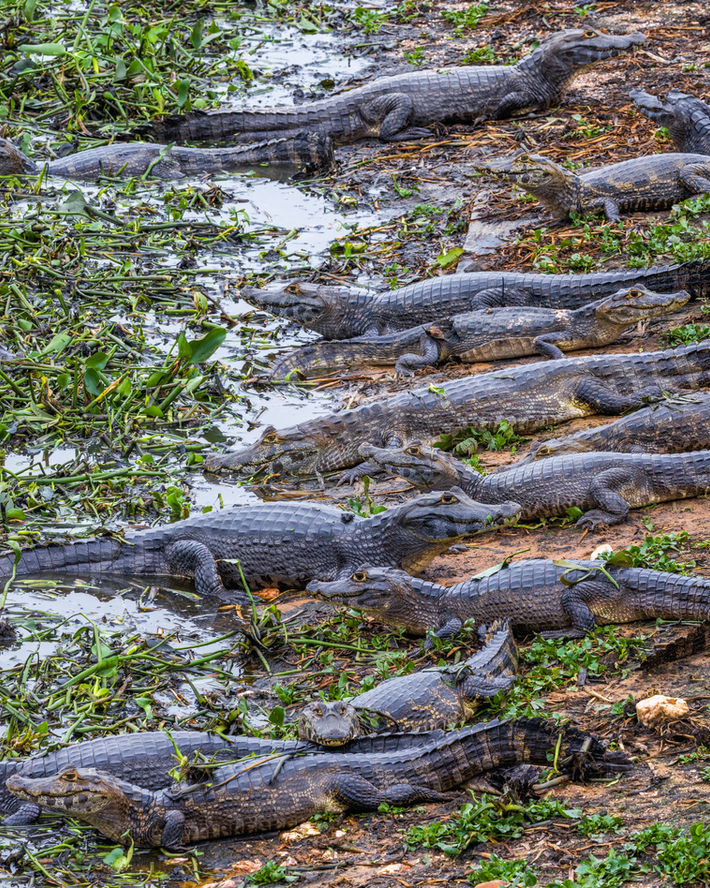 Unfriendly Lineup.jpg