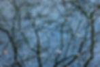 Signs of Spring