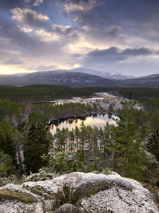 Early Morning Snow in the Cairngorms