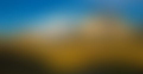 Shadow Line