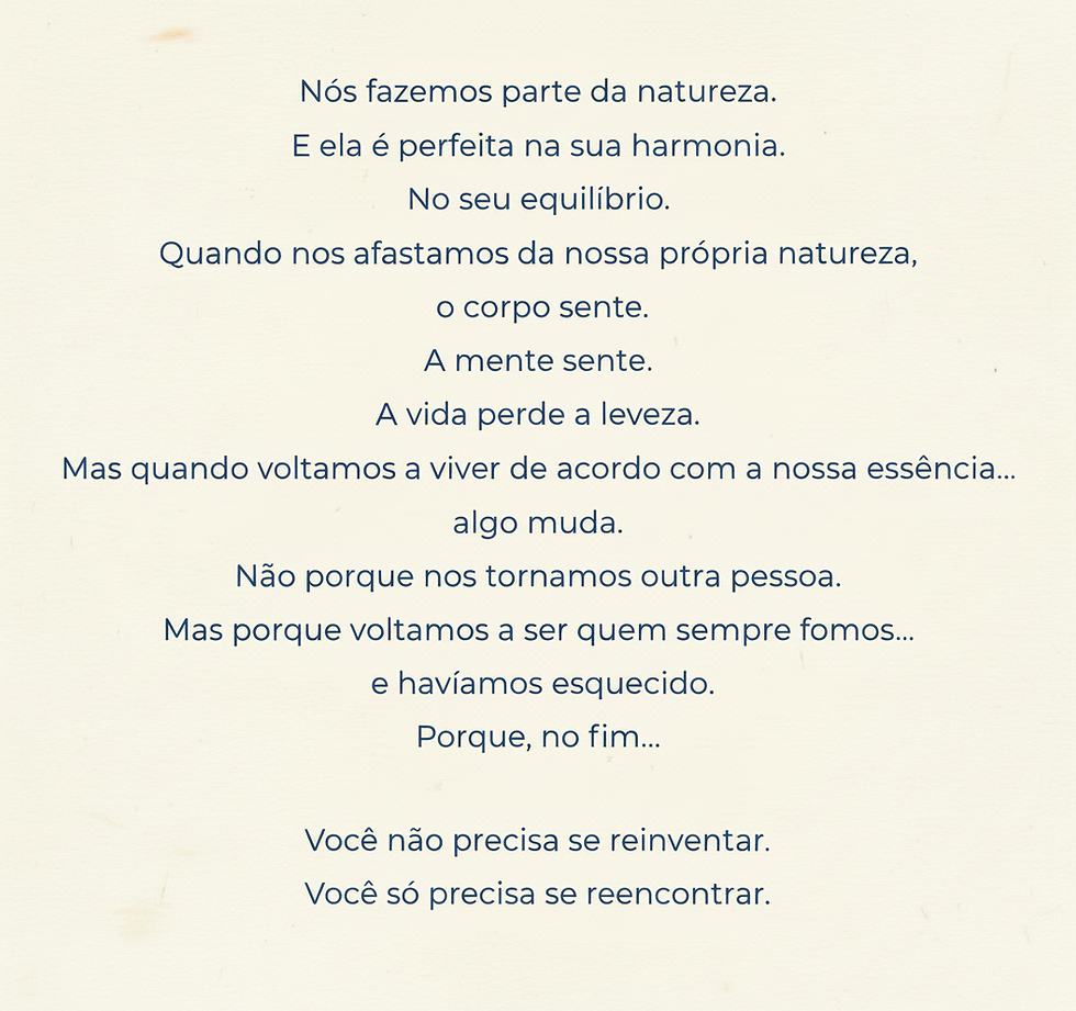 Captura de Tela (248).png