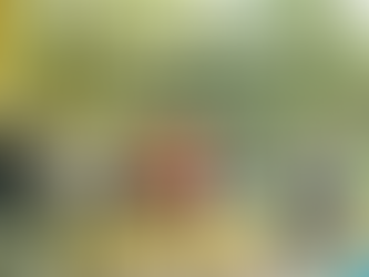 Trail marathon with GymHaus - Chinh phục Ba Vì